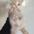 Latte :( Artık ümidimiz kalmadı fotoğraf