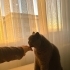 Kuzey ve Yaman’a birlikte ömürlük yuva aranıyor fotoğraf