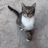 Hangi oje yakışmaz ki kız sana :D fotoğraf