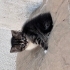 Hangi oje yakışmaz ki kız sana :D fotoğraf
