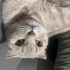 Evinizin bal kızı fotoğraf