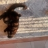 Size aşık bir kız çocuğu fotoğraf