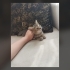 Dünya Tatlısı Ponçik Yeni Yuvasını ve Sevgi Dolu Ailesini Arıyor! 🐾 fotoğraf