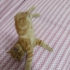 Çok oyuncu sürekli kendini sevdirmek istiyor fotoğraf