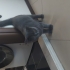 British Shorthair fotoğraf