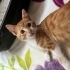 Acil yuvaaaa Bebi için fotoğraf