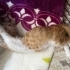Acil yuvaaaa Bebi için fotoğraf
