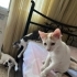 BEBEKLER SOKAĞA GİTMESİN fotoğraf