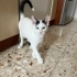 BEBEKLER SOKAĞA GİTMESİN fotoğraf