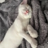 BEBEKLER SOKAĞA GİTMESİN fotoğraf