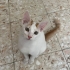 BEBEKLER SOKAĞA GİTMESİN fotoğraf