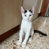BEBEKLER SOKAĞA GİTMESİN fotoğraf
