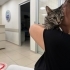 Şila iç dış parazitleri yapıldı karma aşısı yapıldı fotoğraf