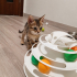 ZOE YUVA ARIYOR fotoğraf