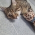 Bebekler kendisine evini ve kalbini açacak meleğini bekliyor fotoğraf