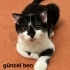 HULUSİ SEVGİ DOLU BİR BEBEK YENİ YUVASINDA MUTLU OLMAYI BEKLİYOR fotoğraf