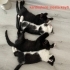 HULUSİ SEVGİ DOLU BİR BEBEK YENİ YUVASINDA MUTLU OLMAYI BEKLİYOR fotoğraf
