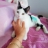Maya kız yuvasını arıyor fotoğraf