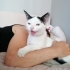 Maya kız yuvasını arıyor fotoğraf