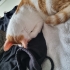 Lütfen Açıklamayı Okuyun fotoğraf