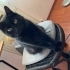 Yumuşacık patili kardeşler fotoğraf
