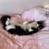Yumuşacık patili kardeşler fotoğraf