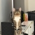 Çok sevimli cana yakın bir dost fotoğraf
