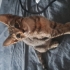 Sevgi dolu mırmır minik fotoğraf