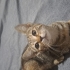 Sevgi dolu mırmır minik fotoğraf