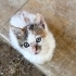 Annelerini kaybettiğimiz bu bebeklere yuva olun fotoğraf