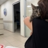 Şila iç dış parazitleri yapıldı karma aşısı yapıldı fotoğraf