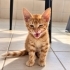 2 AYLIK GÜNEŞİN IŞIĞI SİZİ SARSIN MI? fotoğraf