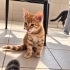 2 AYLIK GÜNEŞİN IŞIĞI SİZİ SARSIN MI? fotoğraf
