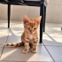 2 AYLIK GÜNEŞİN IŞIĞI SİZİ SARSIN MI? fotoğraf
