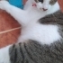 Onun ışığı olur musun? fotoğraf