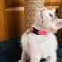 Beni sokağa bırakmayın fotoğraf