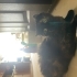 HAYATA TUTUNMUŞ BİR BEBEK fotoğraf