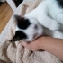 Maya Prensese Yuva fotoğraf