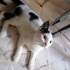 Maya Prensese Yuva fotoğraf