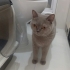 Evden atılmış şuanda apartmanın içinde acil fotoğraf