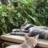🐾 3 Aylık Cana Yakın Minik Oğlan Yuva Arıyor – Çeşme/Alaçatı fotoğraf