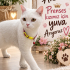 Prenses yuvasını Arıyor fotoğraf