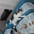 Pofuduk kıza yuva arıyoruz fotoğraf