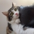 Pofuduk kıza yuva arıyoruz fotoğraf