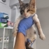 Görme engelli minik kız yuva arıyor fotoğraf
