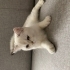 YAKIŞIKLI MAVİ GÖZLÜ PRENS fotoğraf