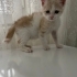 1 aydır yuva arıyor sokağa dönmek üzere fotoğraf