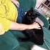 Ücretsiz sahiplendirme . Bu muhteşem kehribar gözler, yeni evini arıyor! fotoğraf