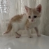 Patimi yastık yapmaya bayılırım fotoğraf