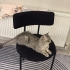 Uysal Biricik Kedi fotoğraf